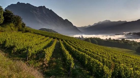 Domaine de L'Idylle