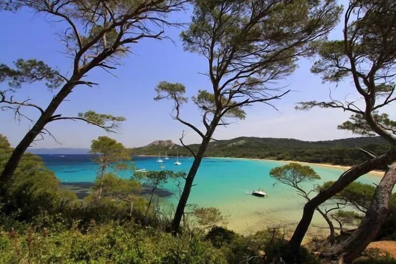 House / Villa - GIENS - HYERES