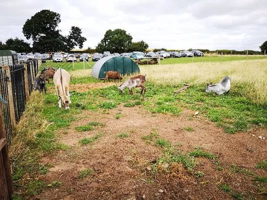 Oak Tree Farm
