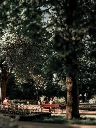 Stary Ogrod Park