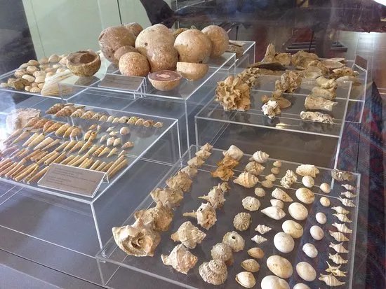 Museums