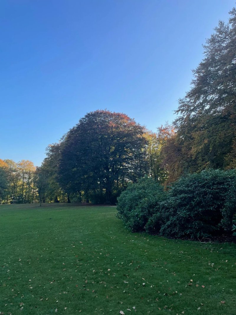 Gossler's Park