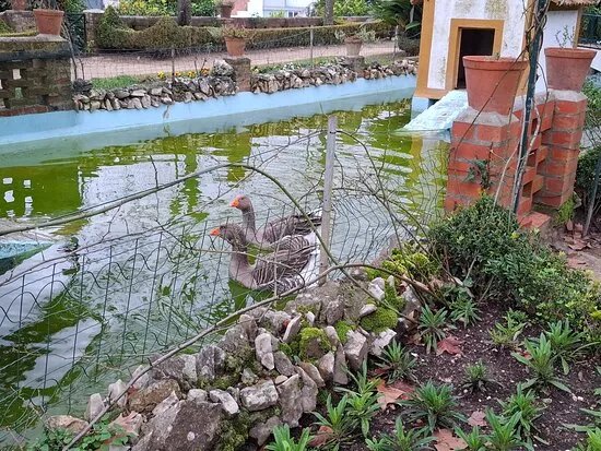 Jardim Do Castelo
