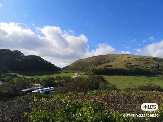 Wool & Durdle Door Taxis