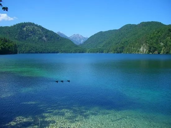 Schwansee