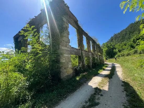 Fiore Tours
