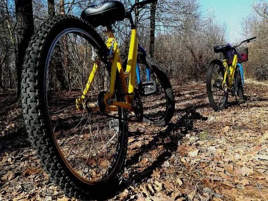 Rent Bike Cascina Prato Pascolo