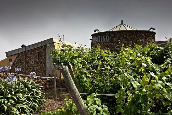 Bodega Vinatigo - Vinatigo Winery