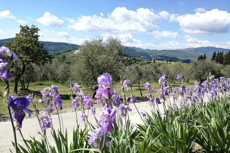 Spacious home on beautiful Tuscan vineyard.  Near Florence.