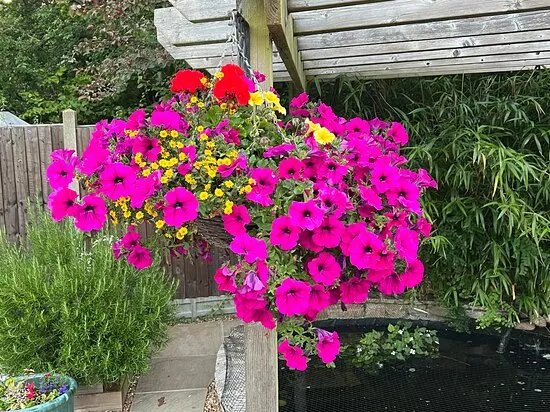 Cuckoo Bridge Nursery & Farm Shop