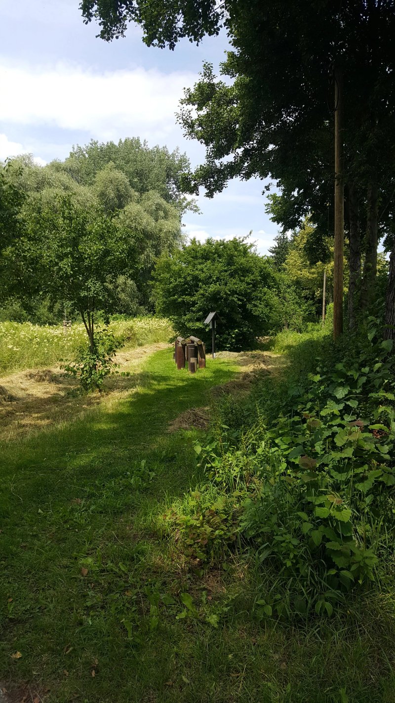 Barfussweg Mittelherwigsdorf