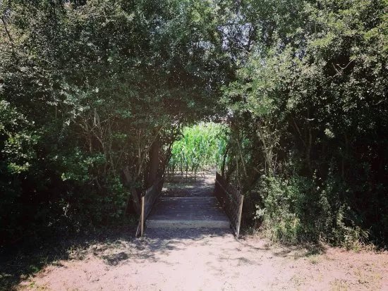 Le labyrinthe