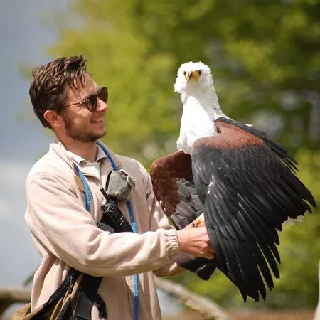 Hawk Conservancy Trust Bird of Prey Centre