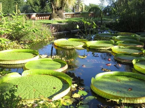 Jardin Botanique Val Rahmeh - Menton
