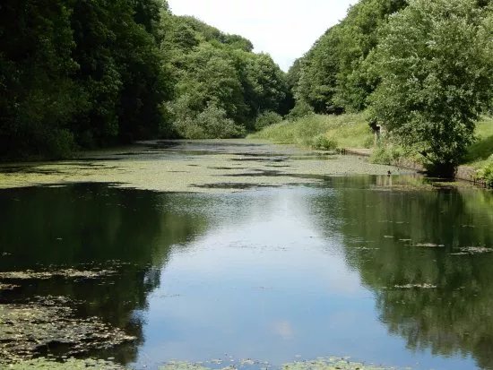 Moss Valley Country Park