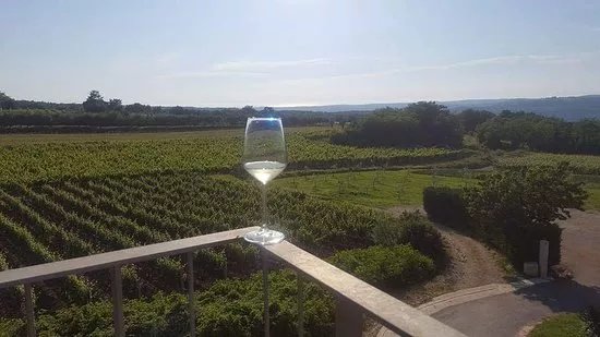 Arman Marijan Winery