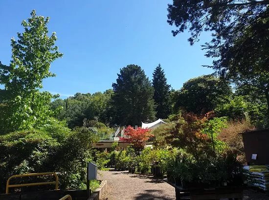 Reuthe's The Lost Gardens Of Sevenoaks