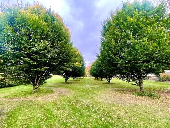 Haugh Park