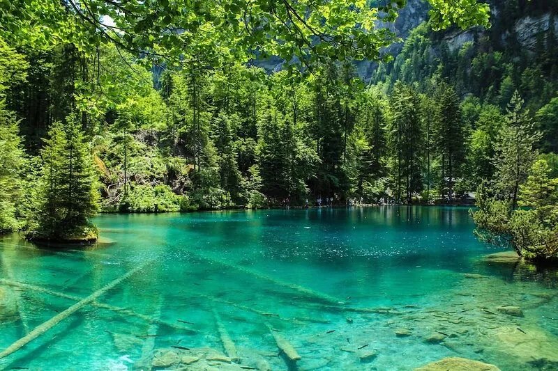 Swiss chalet in the Bernese Oberland