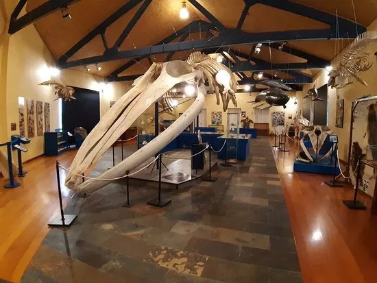 Museo de Historia Natural