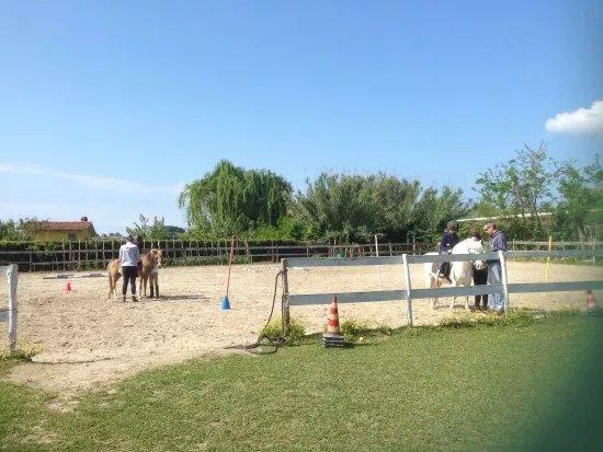 Centro Ippico Pegaso
