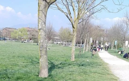 Oasi Verde