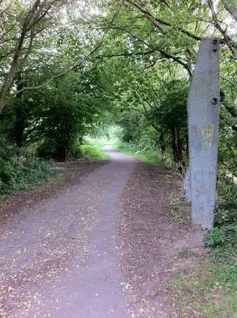 Cuckoo Trail