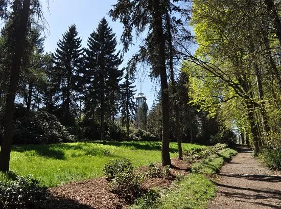 Hutberg Kamenz