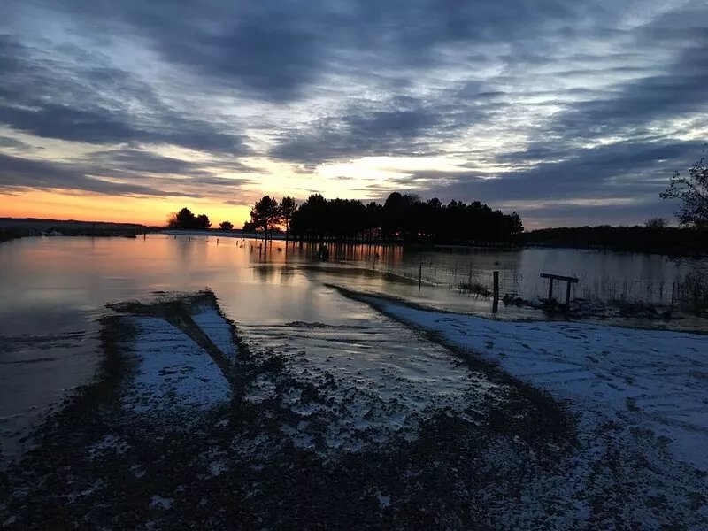 Apartment close to the water in beautiful nature. Good for relaxing in quiet