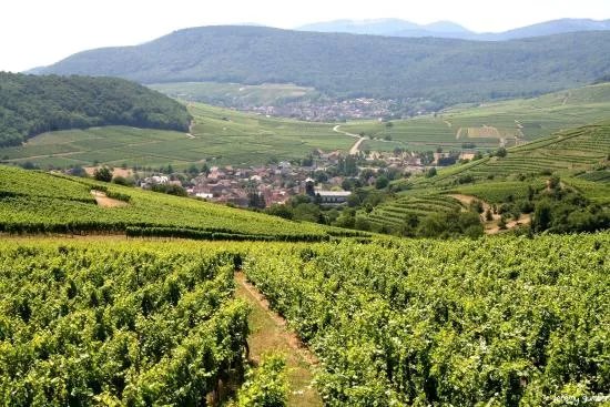 Le Strangenberg