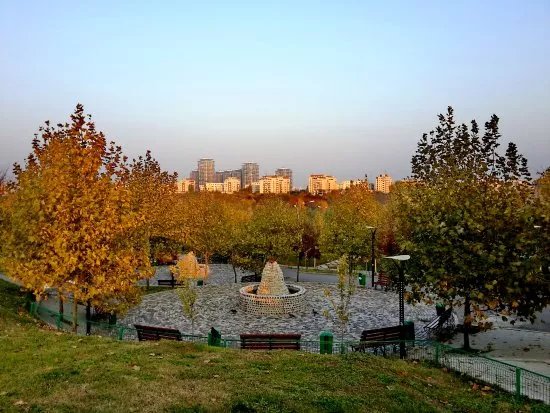 Parcul Tineretului