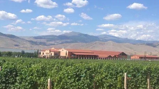 Alpha Estate