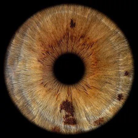 EYE C U - Iris photo