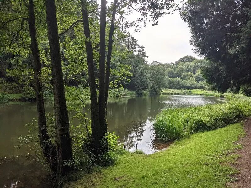 Casita Lodge - The perfect romantic getaway in the Forest of Dean
