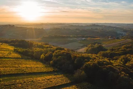 Vino Lovrec: organic winery