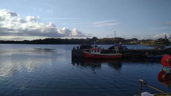 The Garvin Seafood Company Ltd