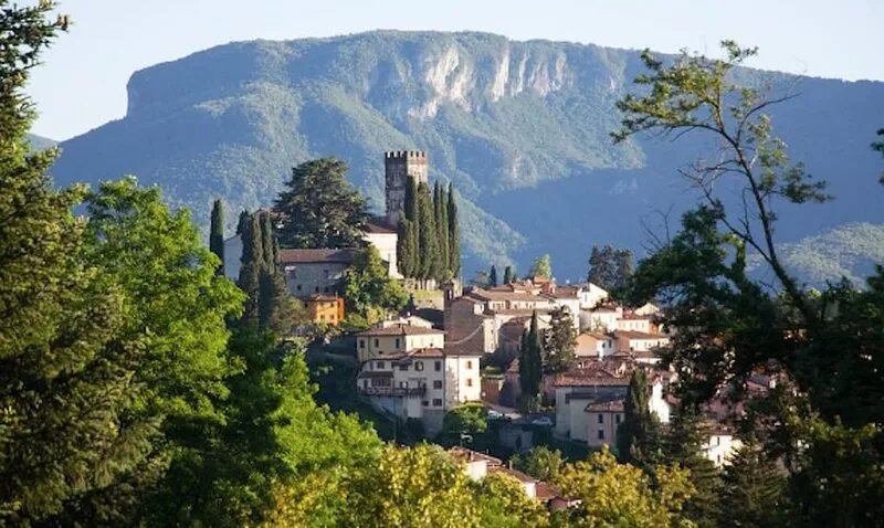 Last minute September special rate! Villa in Tuscany, big pool,garden,views