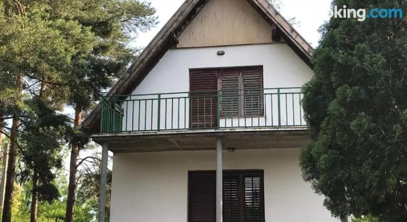 Hostel B&B Martin