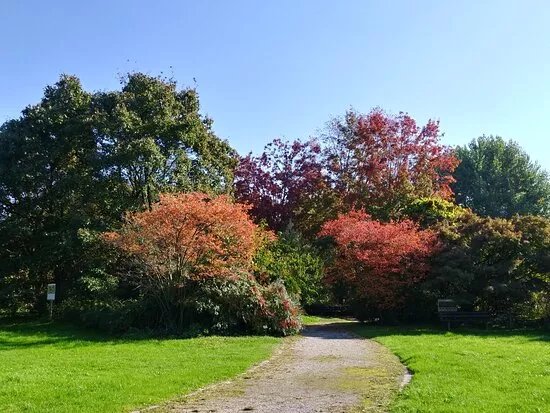 Orto Botanico Universitario Citta Studi