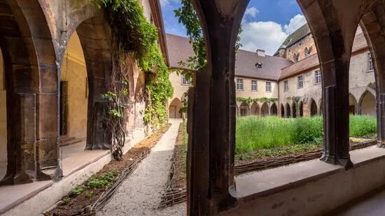 Bibliotheque des Dominicains