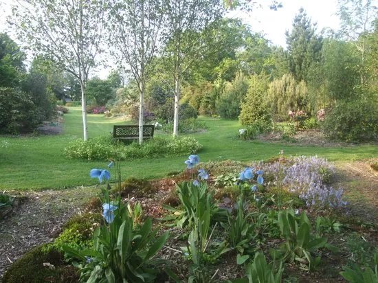 Llwyngarreg Garden