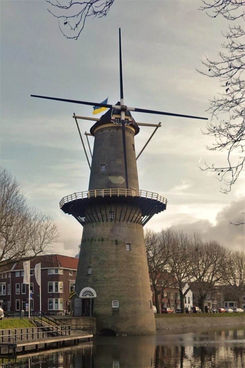 Molen De Walvisch