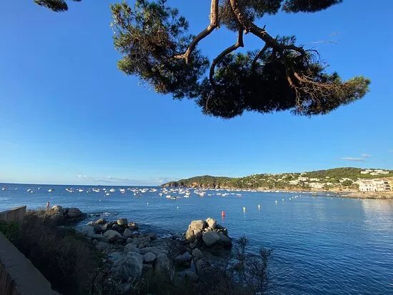 Playa De Llafranc