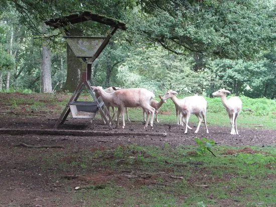 Parc Animalier