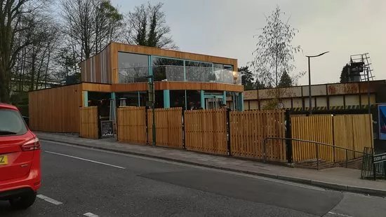 Skogen