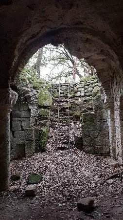 Crypt of the Abbey of Saint Salvatore
