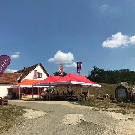 Crama Nachbil Winery