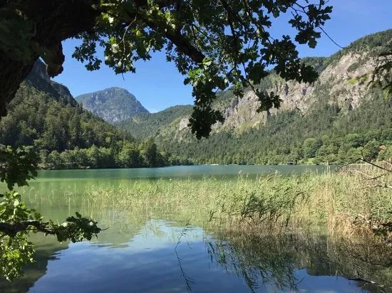 Thumsee