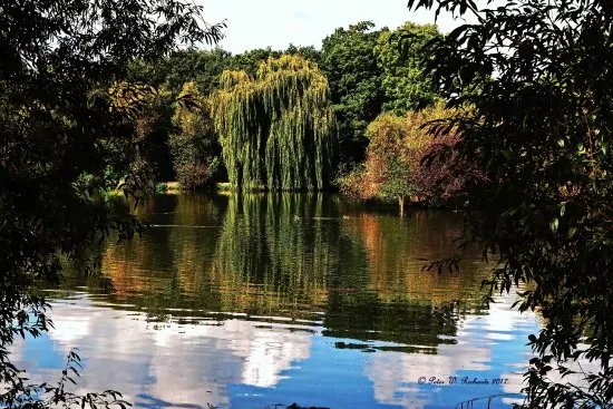 Rochford Resevoir