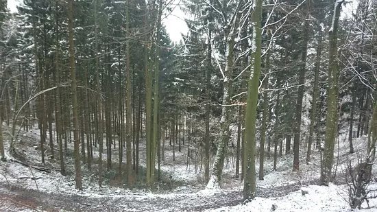 Bismarckturm